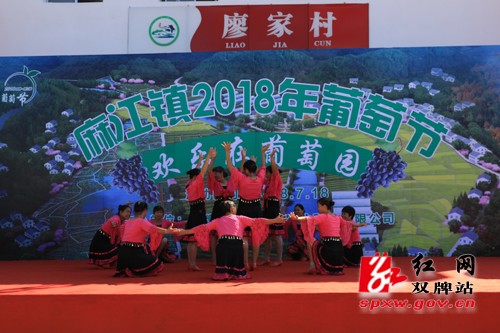 麻江镇举办首届“葡萄节” 助力乡村振兴