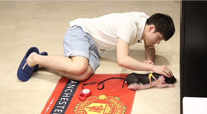 武艺《我家那小子》照顾宠物猪3.jpg