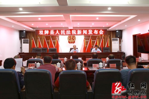 双牌县人民法院举行执行工作新闻发布会