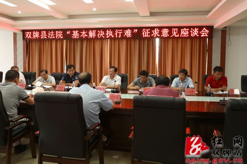 双牌县人民法院邀请在双人大代表、政协委员召开座谈会