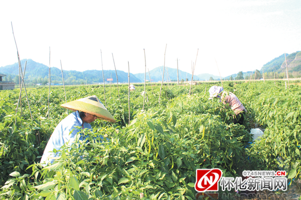 独坡镇人口有多少_迟营镇有多少人口(3)