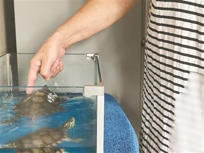 点击进入下一页