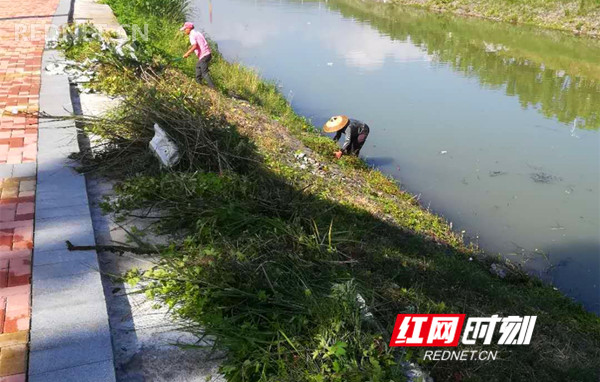 回龙圩：民间河长让河水更清了