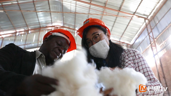 《我的青春在丝路》：中国青年夫妻在津巴布韦“收棉花”