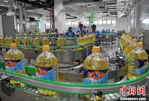 资料图：食用油生产线。 中新社记者 张斌 摄