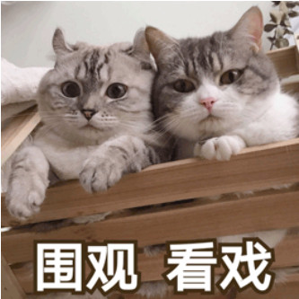 怼陈冠希算什么？这次国内四大音乐平台也被爱奇艺带沟里
