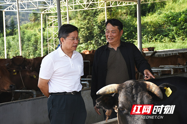 益阳市委书记瞿海（左)查看博源农业产业园。.jpg