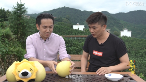 传承美味，PP视频《寻味中国》揭秘清朝贡品琯溪蜜柚
