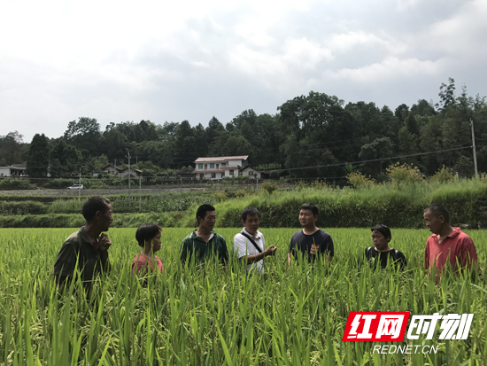 桑植县有多少人口_九天洞 茅岩河风光