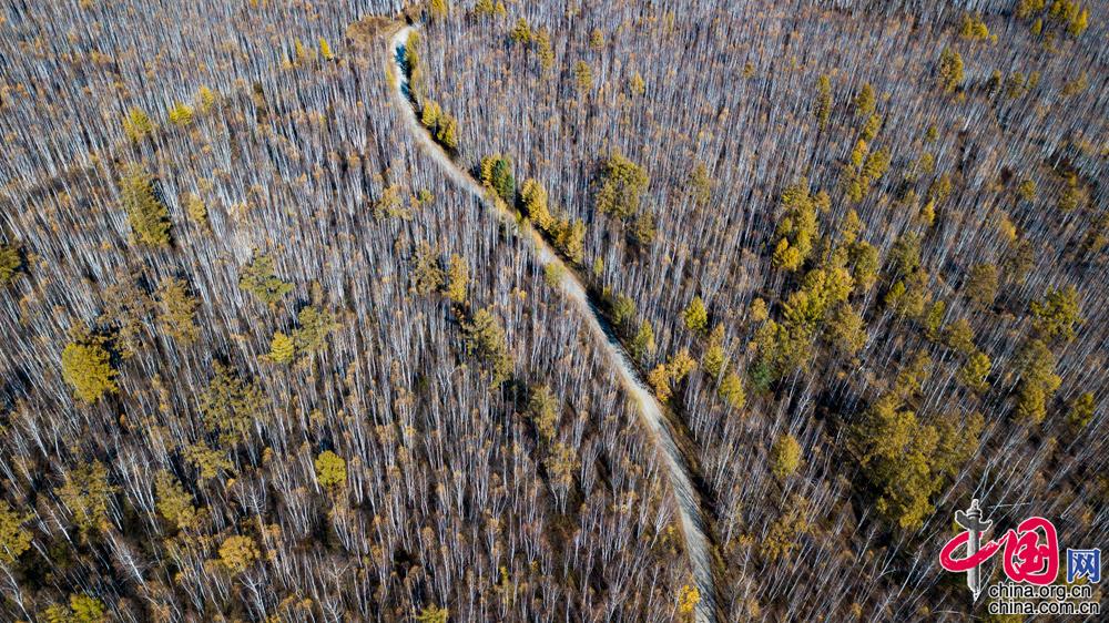 【网络媒体国防行】走进空军漠河雷达站 感受