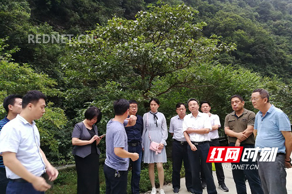 省自然保护地大检查工作组对永州市自然保护地进行重点抽查