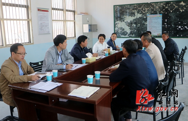 贺辉到新田调研脱贫攻坚和宣传思想文化工作