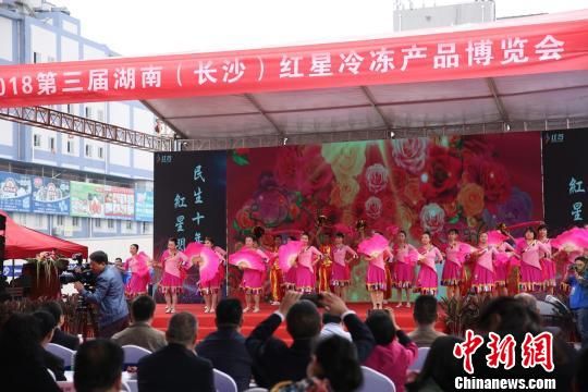 博览会开幕。主办方供图