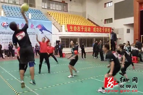 双牌县在全市政府办系统第二届气排球比赛上夺冠