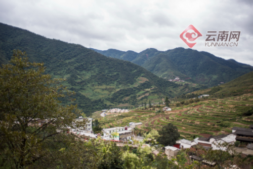 祥云黄草哨：昔日古盐道 今日幸福村