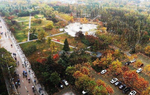 中国石油大学（华东）：秋雨如跳动的音符。 摄影/刘积舜