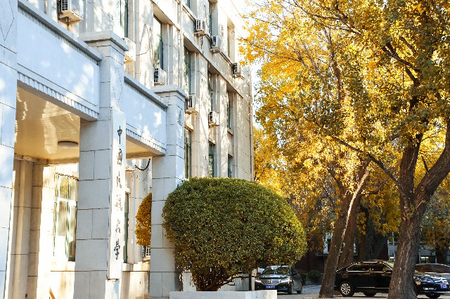 中国民航大学：树影斑驳秋意浓。 摄影/张庆毅