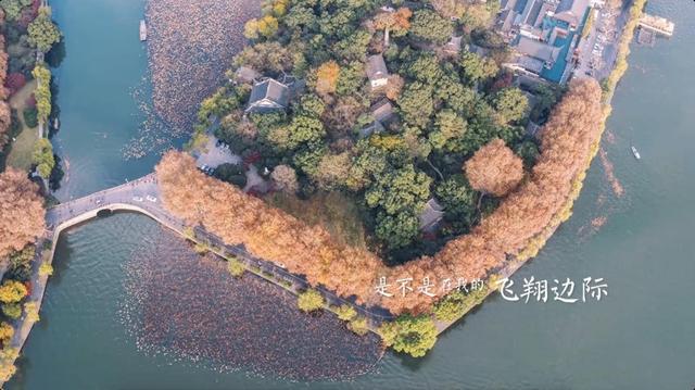 西泠有锦鲤！浙江卫视《孤山路31号》惊现“神奇动物在哪里”？