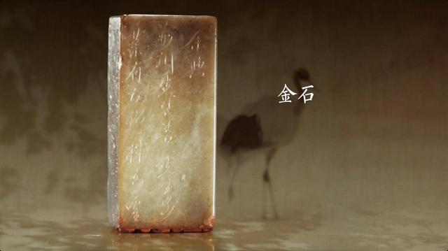 西泠有锦鲤！浙江卫视《孤山路31号》惊现“神奇动物在哪里”？