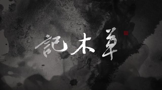 西泠有锦鲤！浙江卫视《孤山路31号》惊现“神奇动物在哪里”？