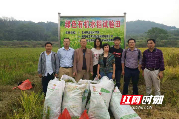 绿色有机稻丰收之际，陈长青（左一）与实施单位领导和技术人员合影。.jpg