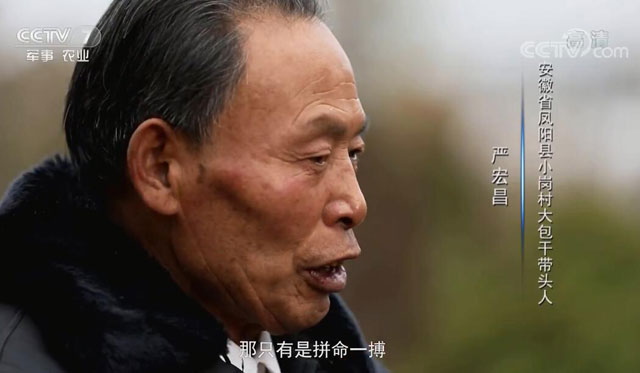 农村改革
