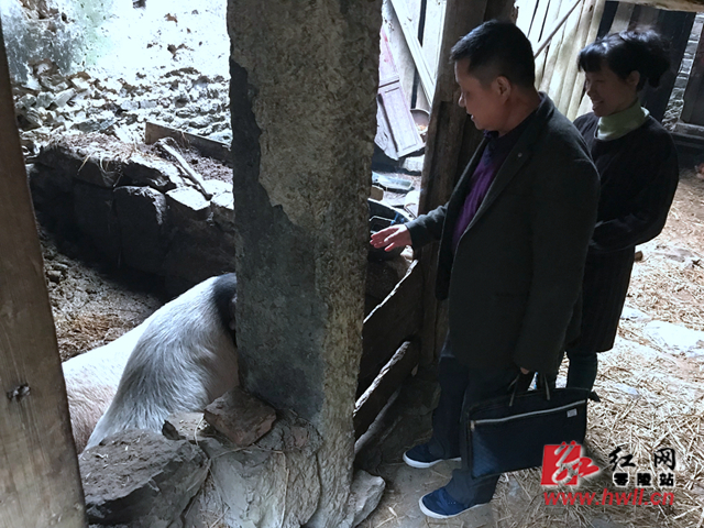 “三板斧”劈开脱贫幸福路——记湖南省脱贫攻坚先进个人杨自柏