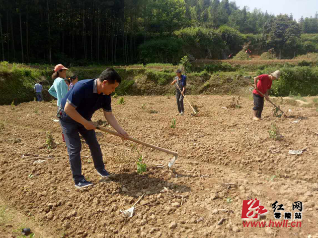 “三板斧”劈开脱贫幸福路——记湖南省脱贫攻坚先进个人杨自柏