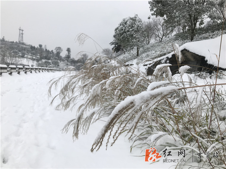 吉首大坡气象公园白雪皑皑