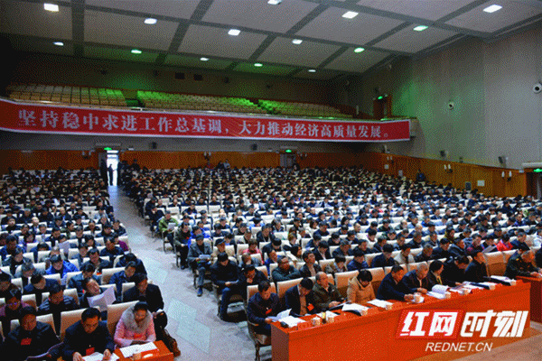 2019经济工作会_市委 陈建平 工作