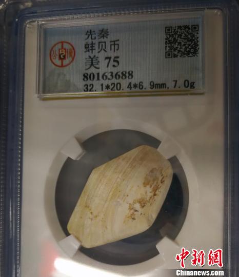 贝币。　杨杰英 摄