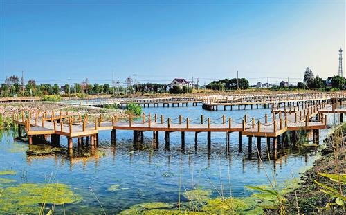 足不出“沪”也有诗画田园