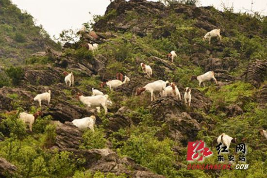 东安横塘镇：做“山水文章” 助贫困户脱贫