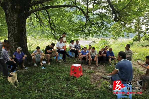 治陋习 树新风 双牌乡风文明建设在行动