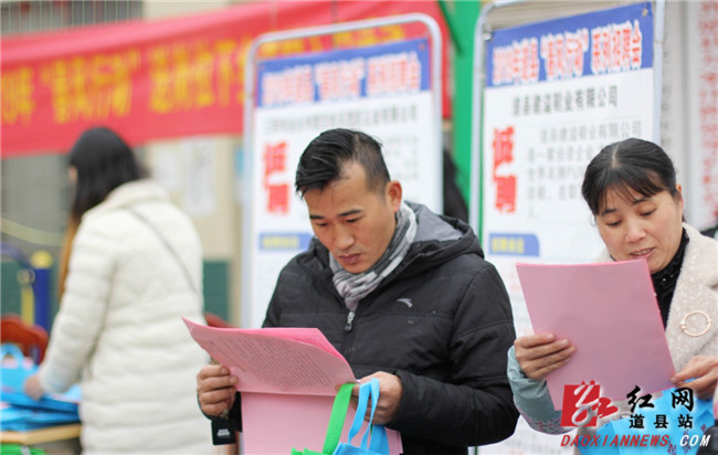 道县：“春风行动”送岗入户 助力就业“大丰收”