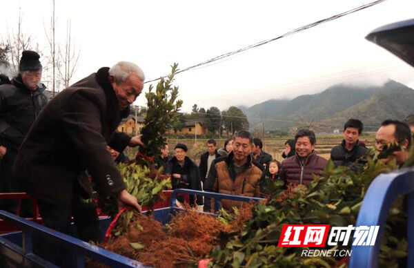 双牌库区移民信心满怀发展油茶脱贫致富