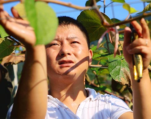 第一次踏足隆回县白水洞村,湖南大学驻隆回扶贫队长李飞龙像是打开了