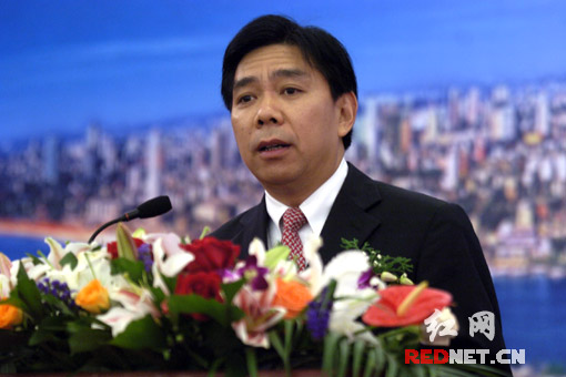 湖南省人民政府副省长徐宪平在洽谈会上致辞