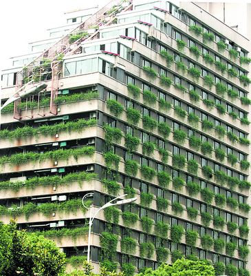 立体绿化的长沙大厦成为五一大道上一道美丽的风景线.贺文兵 摄