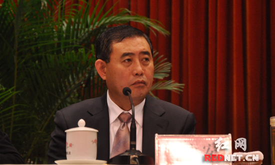 (湖南省国家税务局局长丁永安出席会议并讲话.