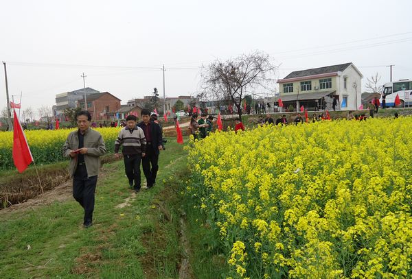 岳阳长寿古镇第四届油菜花节开幕