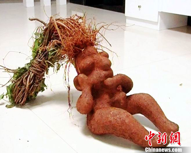 江西挖出人形何首乌 神似婴孩眼鼻齐全(图)