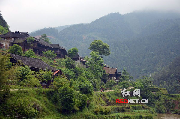 奉家镇下团村.