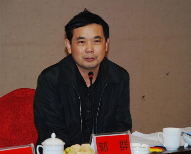 省青年社科委聚焦乡镇党代会年会制