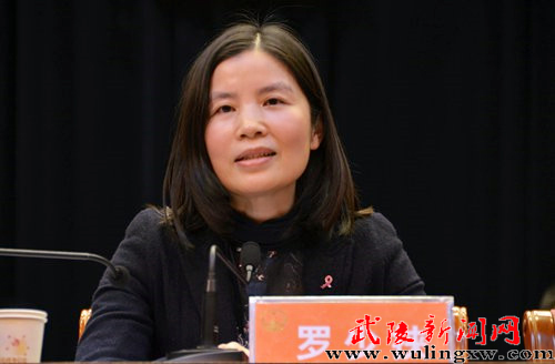 莫汉桃全票当选常德武陵区人民政府区长