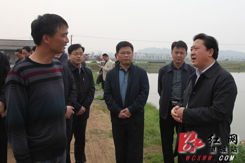 长沙市副市长黎石秋调研乌山镇现代农业发展情况