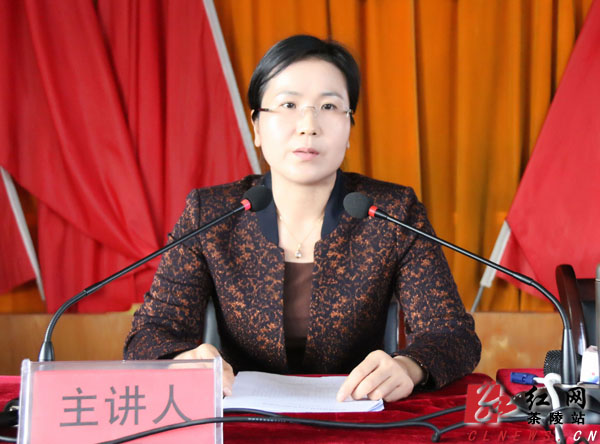 茶陵县委副书记,县长江小忠讲课