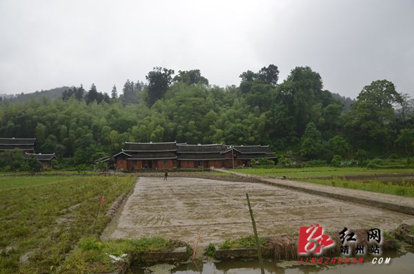 (坳上镇响水村村貌.陈俊名摄)