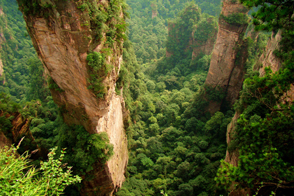 【发现美丽湖南】"悬浮仙山"袁家界