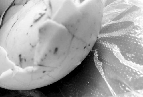 男子买外卖咸鸭蛋里现鲜蛆 老板娘称不怕投诉(图)